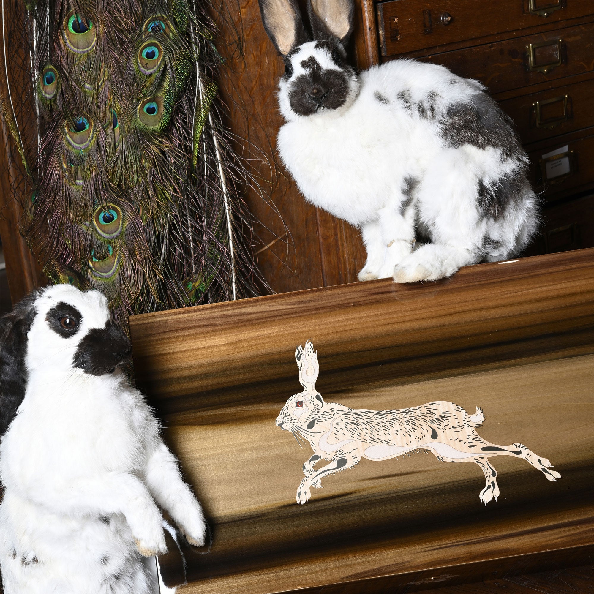 "Rabbit" Tulipier - 250 Cigars