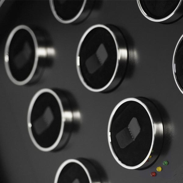 "Galuchat" - Remontoir 6 montres - Elie Bleu