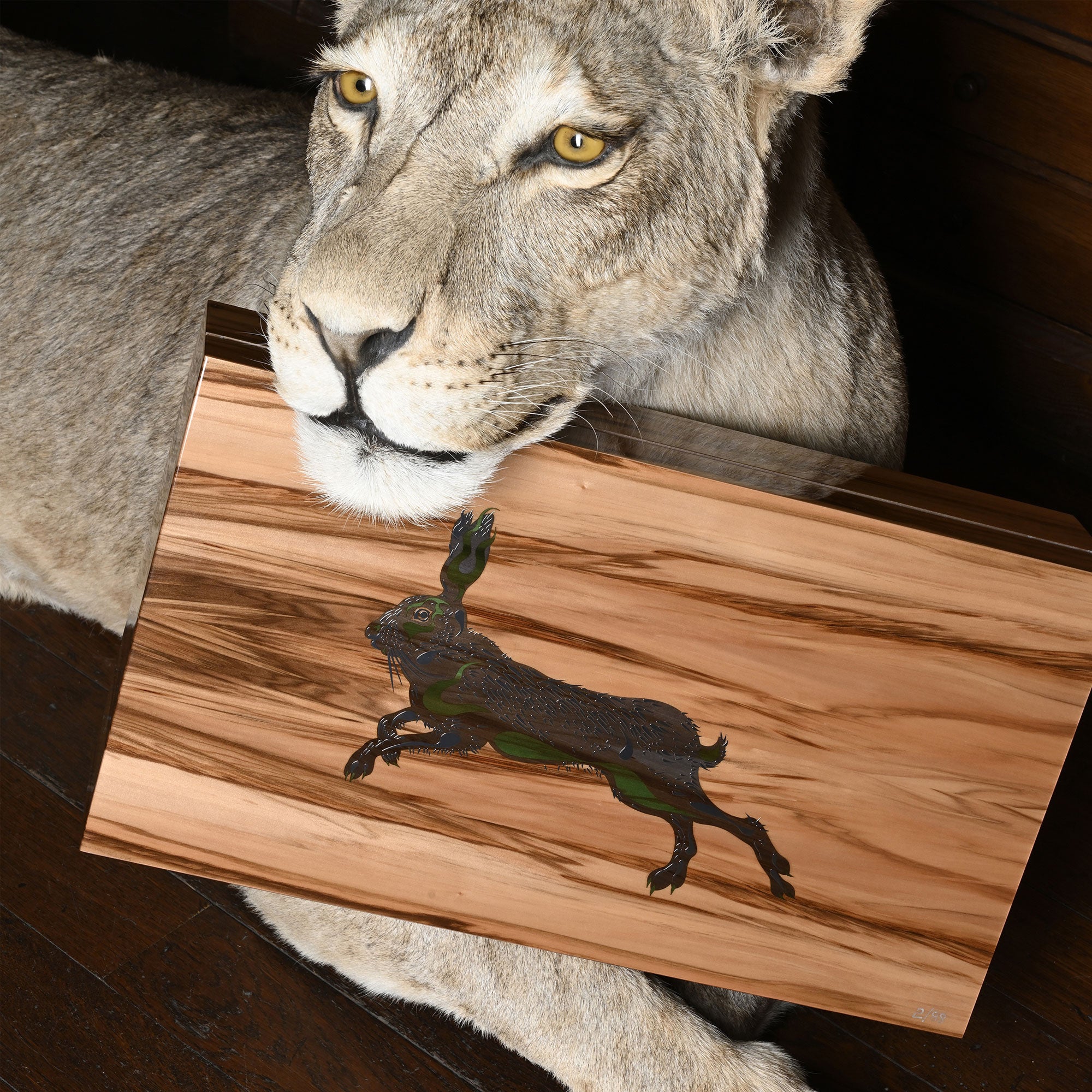 "Rabbit" - Redgum -110 Cigars