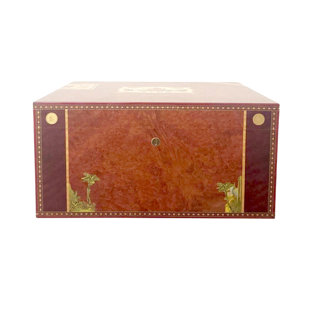 "Flor de Alba" - Box for 36 Watches - Amboyna burl