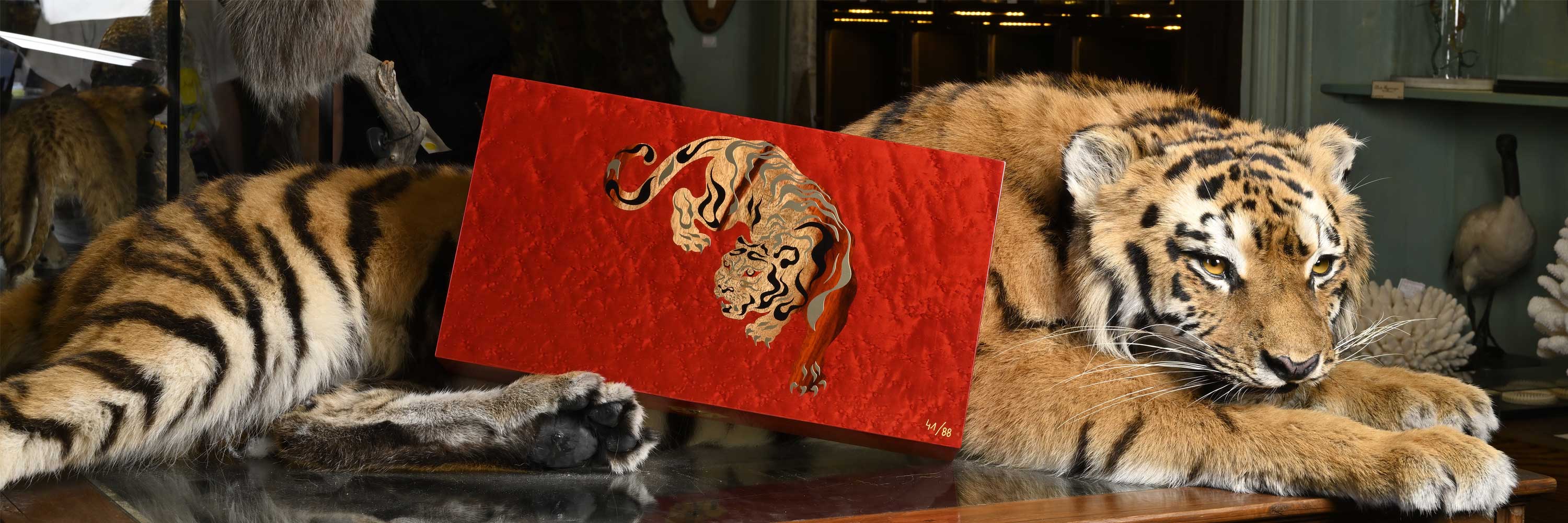 Animals collection | Elie Bleu